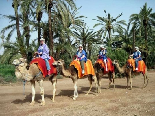 Discover Morocco