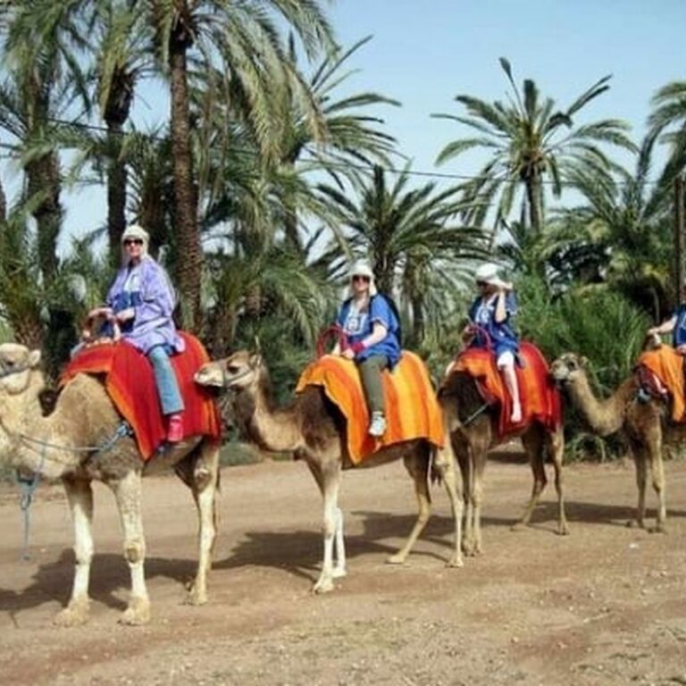 Discover Morocco