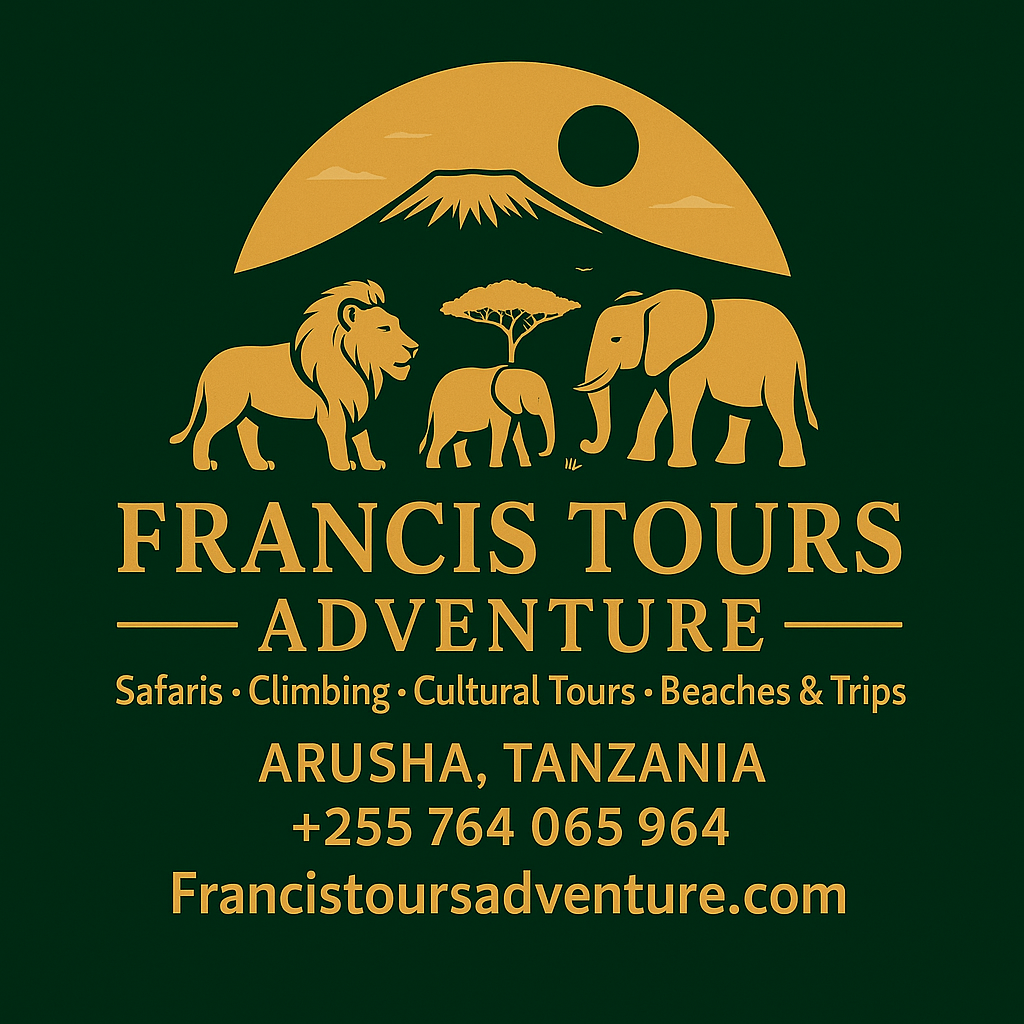 Francis Tours