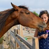 Trebaluger Equine Rescue
