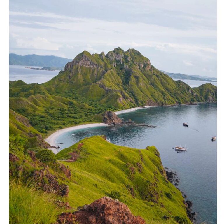 KOMODO TRAVEL WILLIAM
