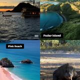 KOMODO TRAVEL WILLIAM