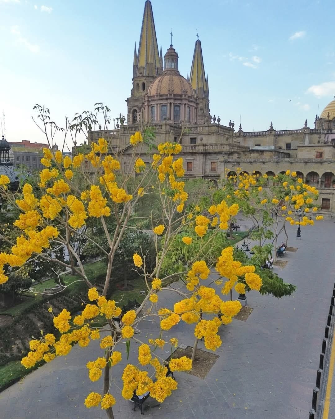 Tours Y Traslados TequilArte
