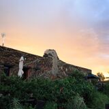 Karoo Saloon