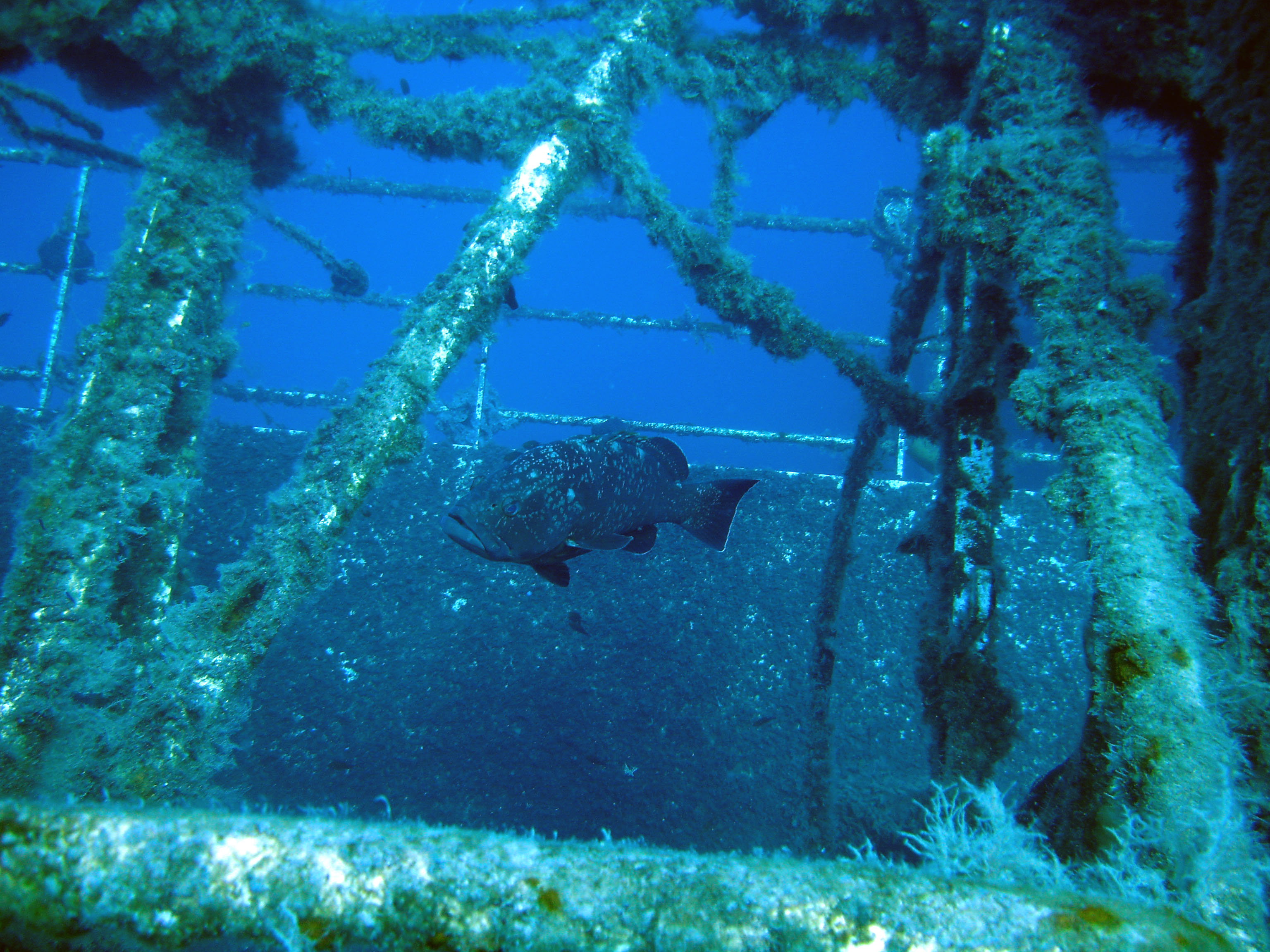 ABC Dive Center