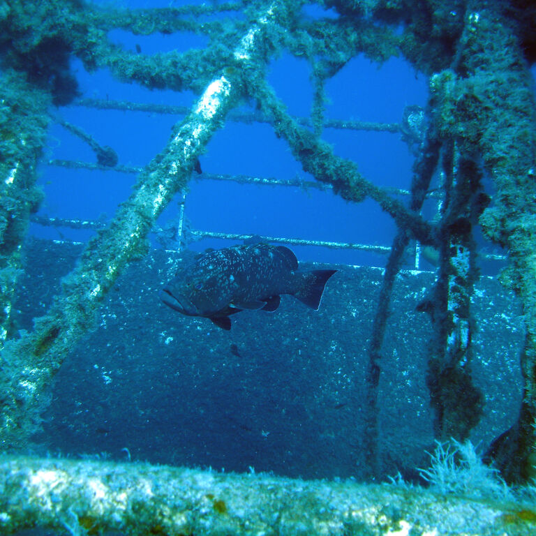 ABC Dive Center