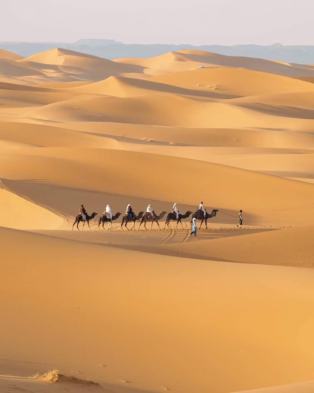 Original Morocco Tours