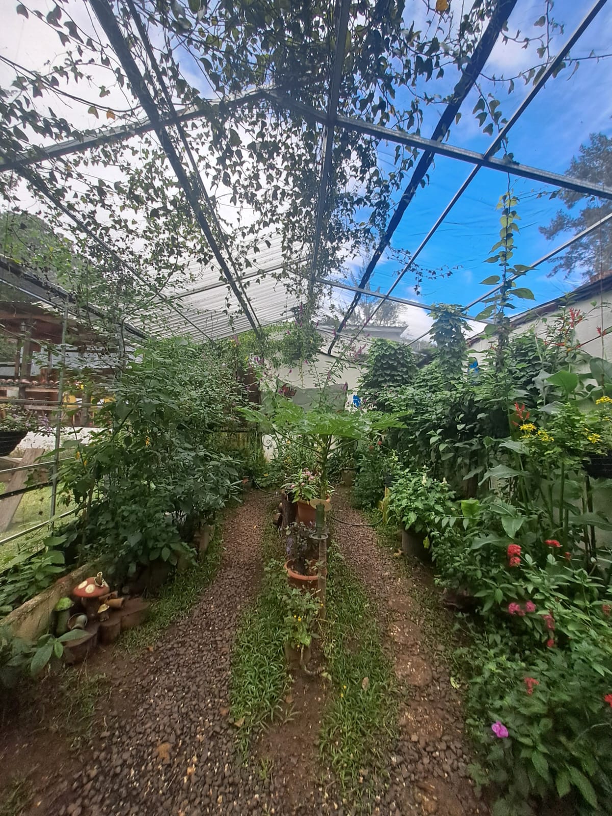 Los Lirios Mariposario