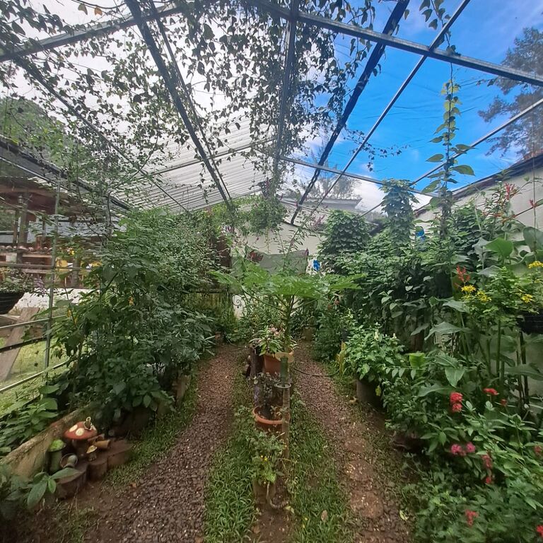 Los Lirios Mariposario