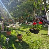 Los Lirios Mariposario