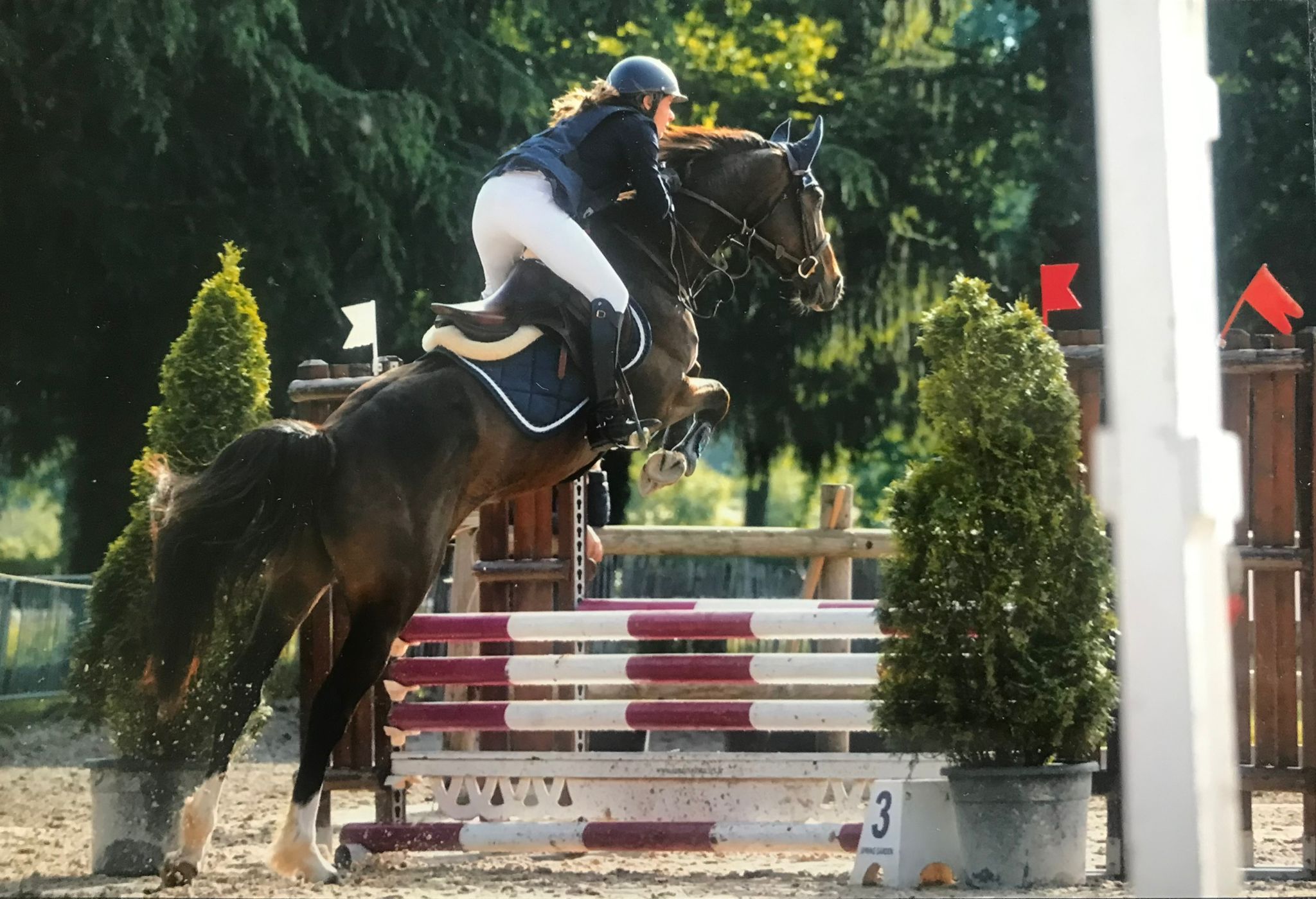 Domaine Équestre Glaris