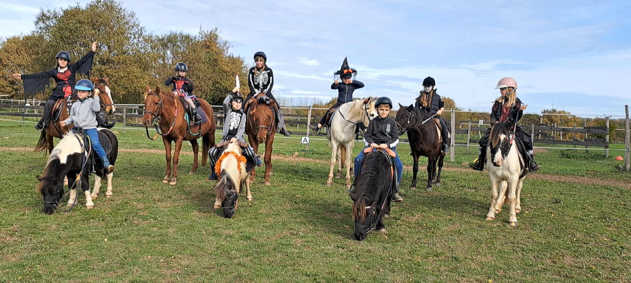 Domaine Équestre Glaris