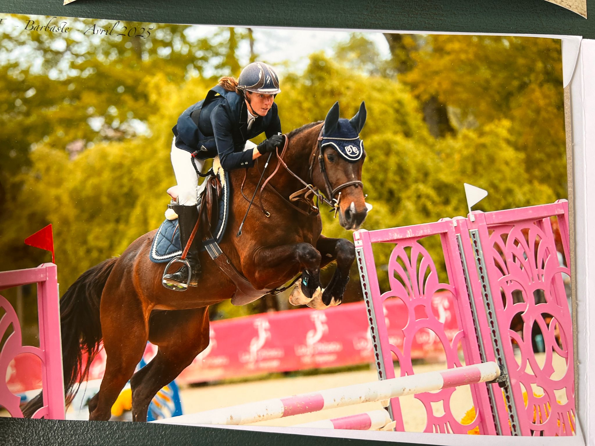 Domaine Équestre Glaris