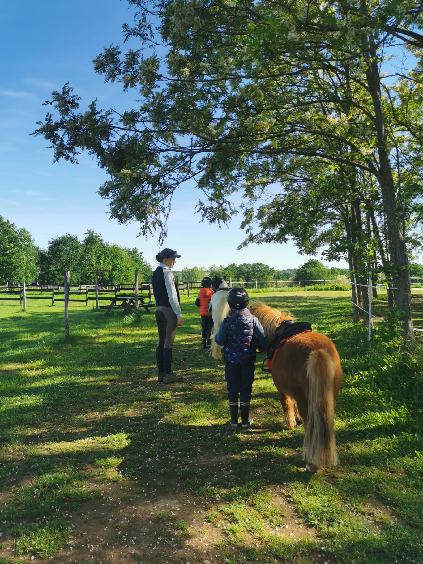 Domaine Équestre Glaris