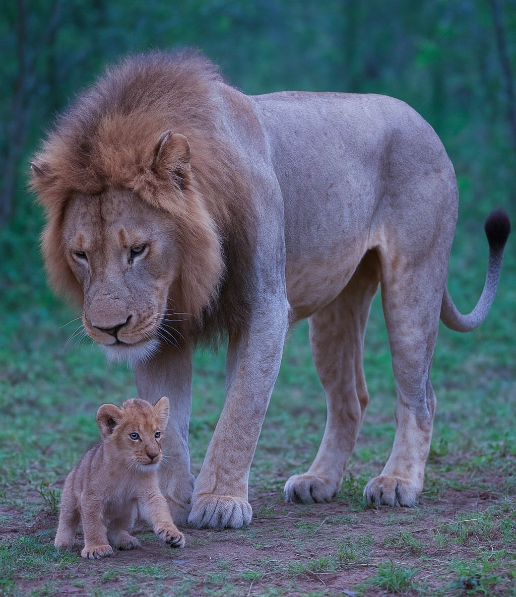 Trailfinders Africa Safaris