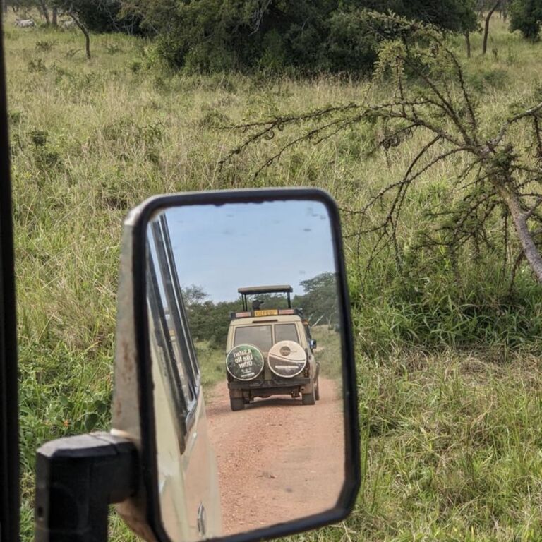 Sipifalls Safaris