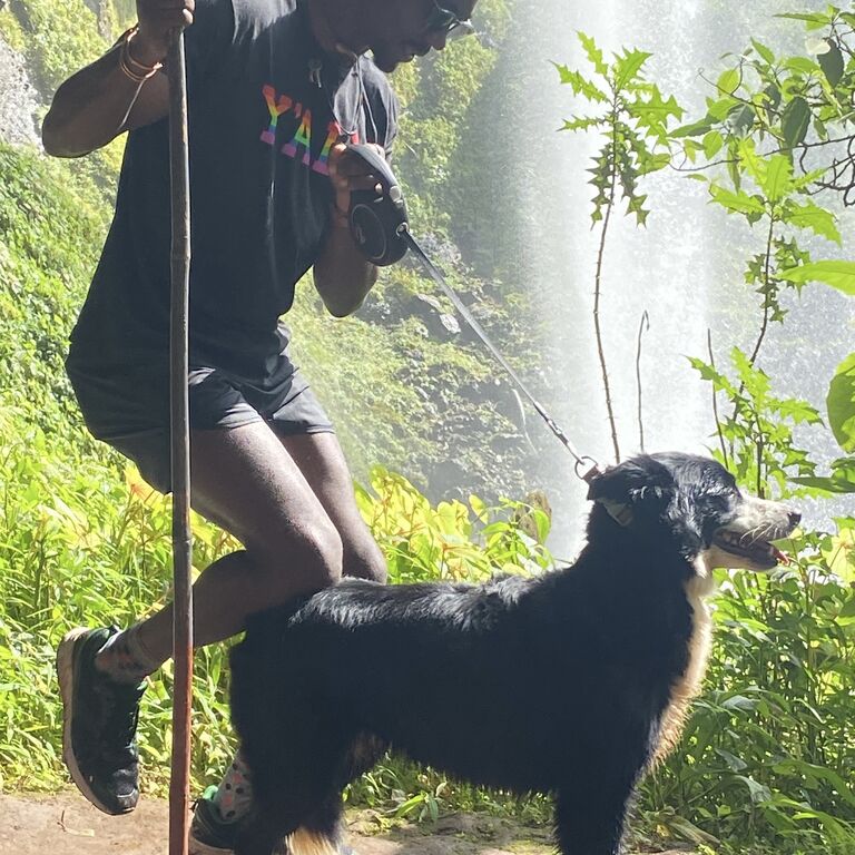 Sipifalls Safaris