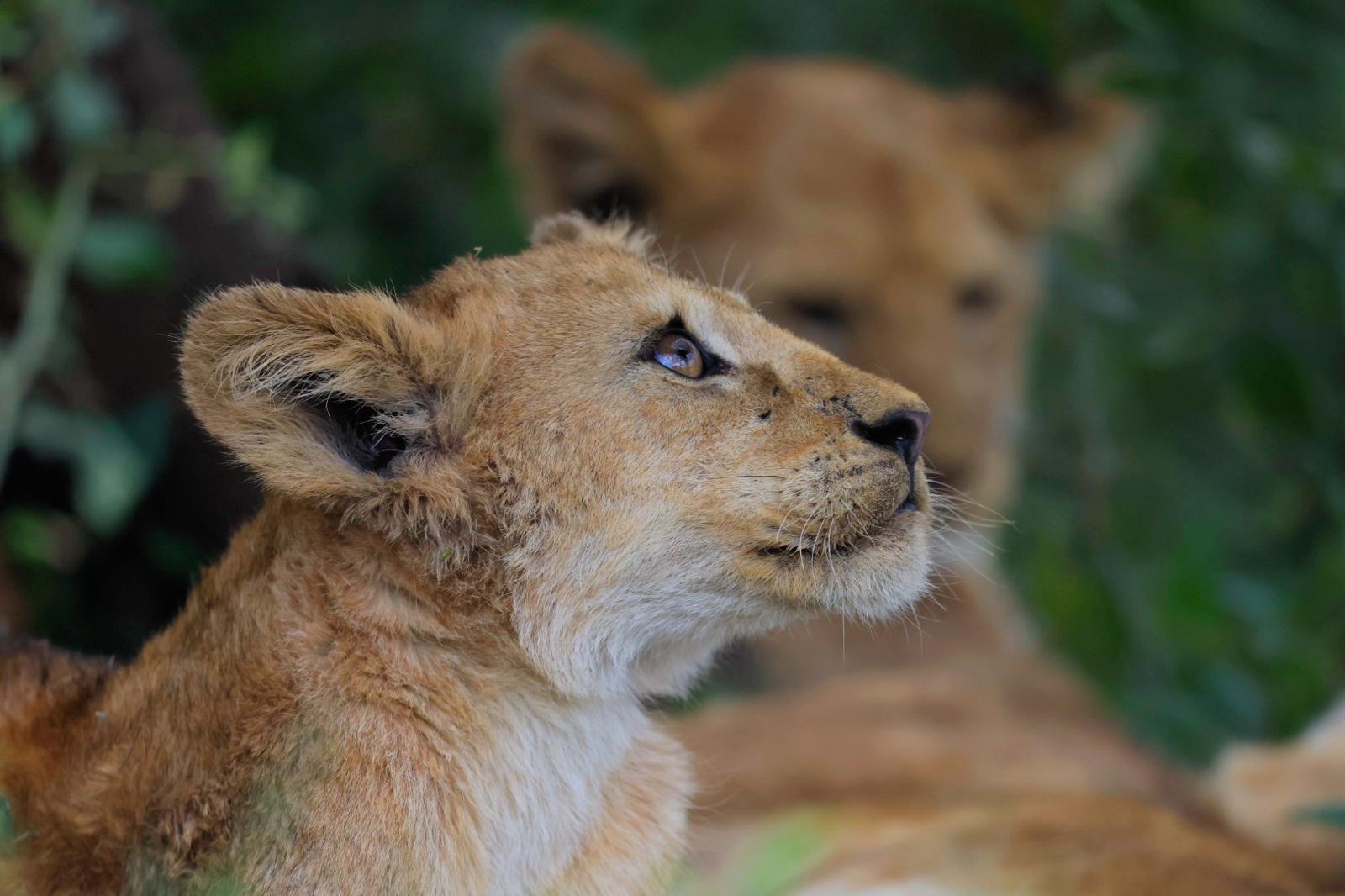 FANTASTIC TIME TRAVEL