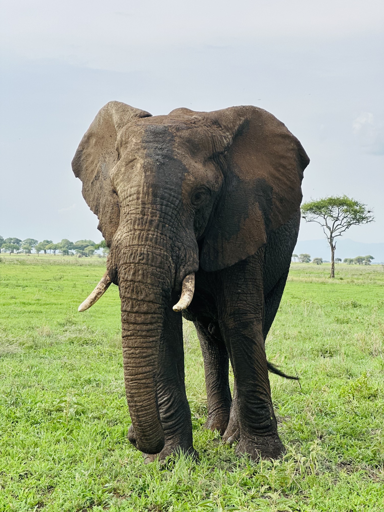 BEYOND THE WORLD