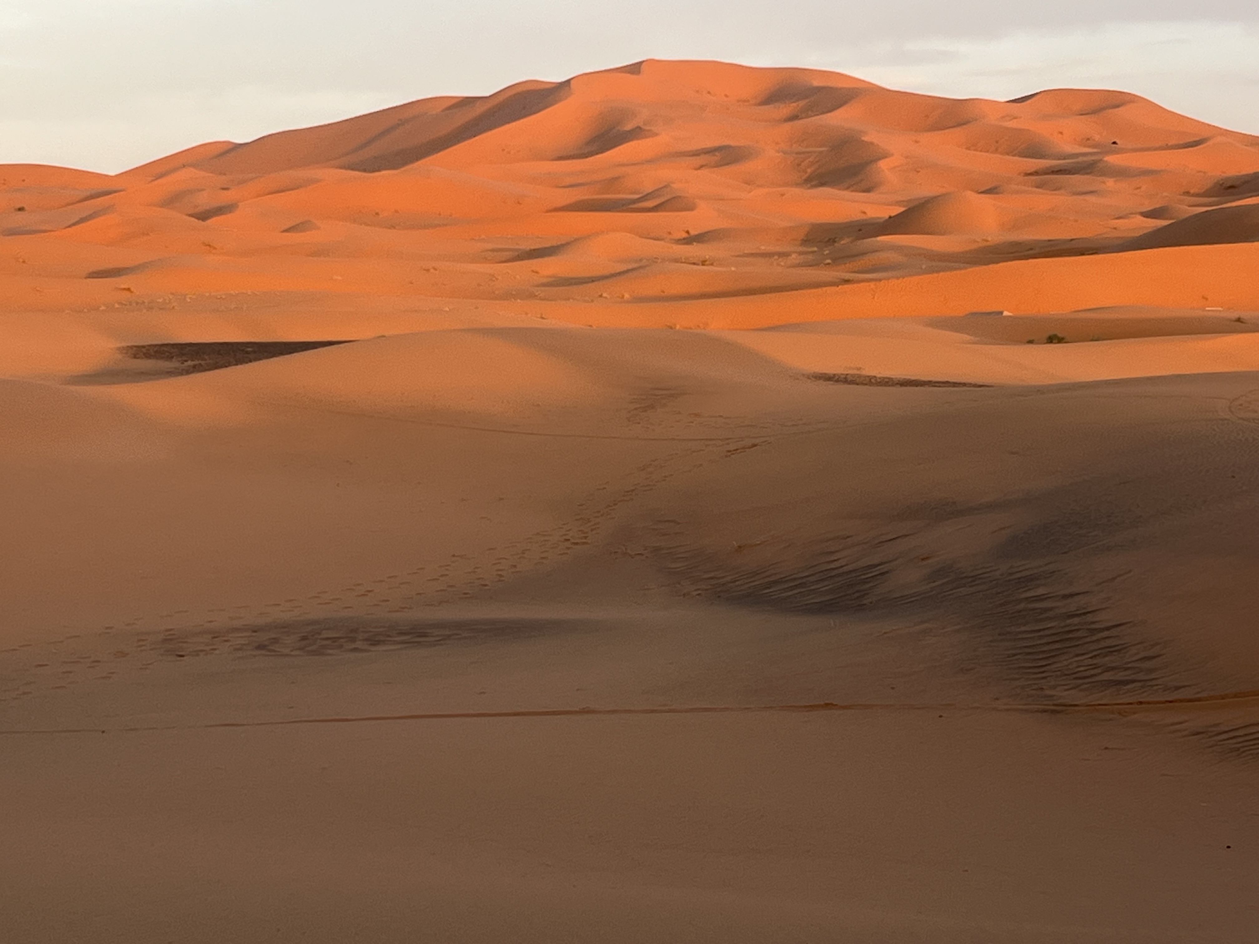 Thrill of Morocco Tours