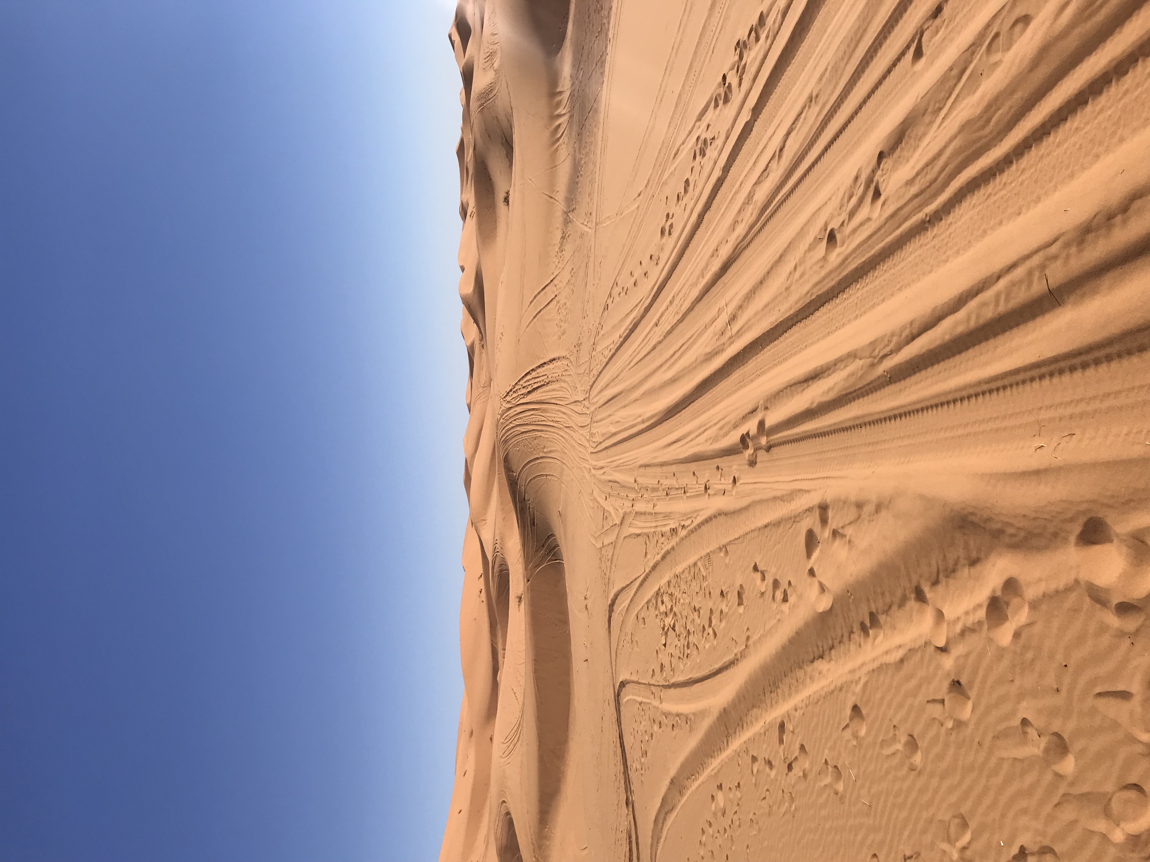 Thrill of Morocco Tours