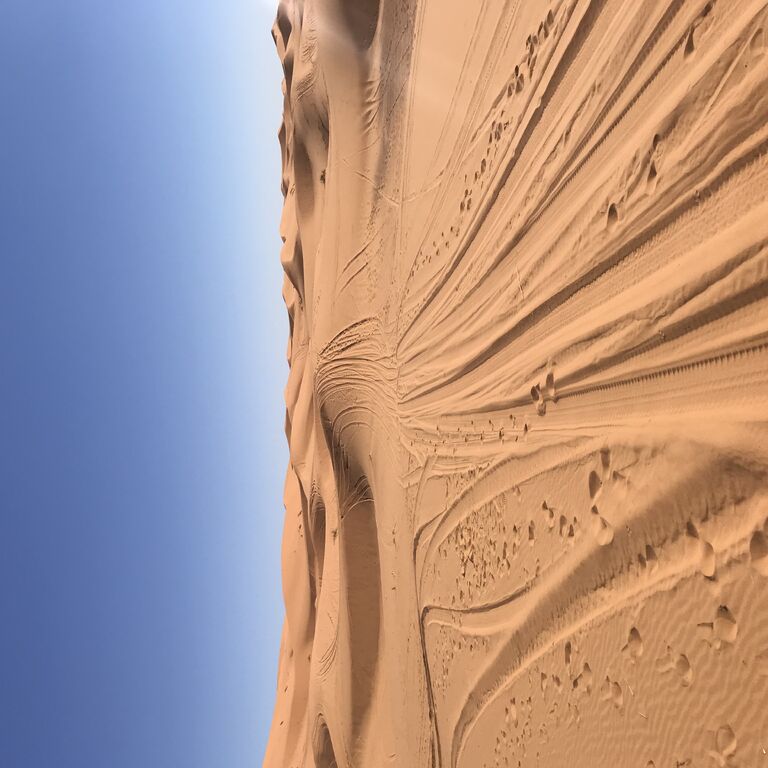 Thrill of Morocco Tours