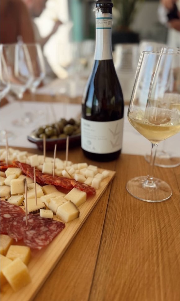 Azienda Vitivinicola Tola