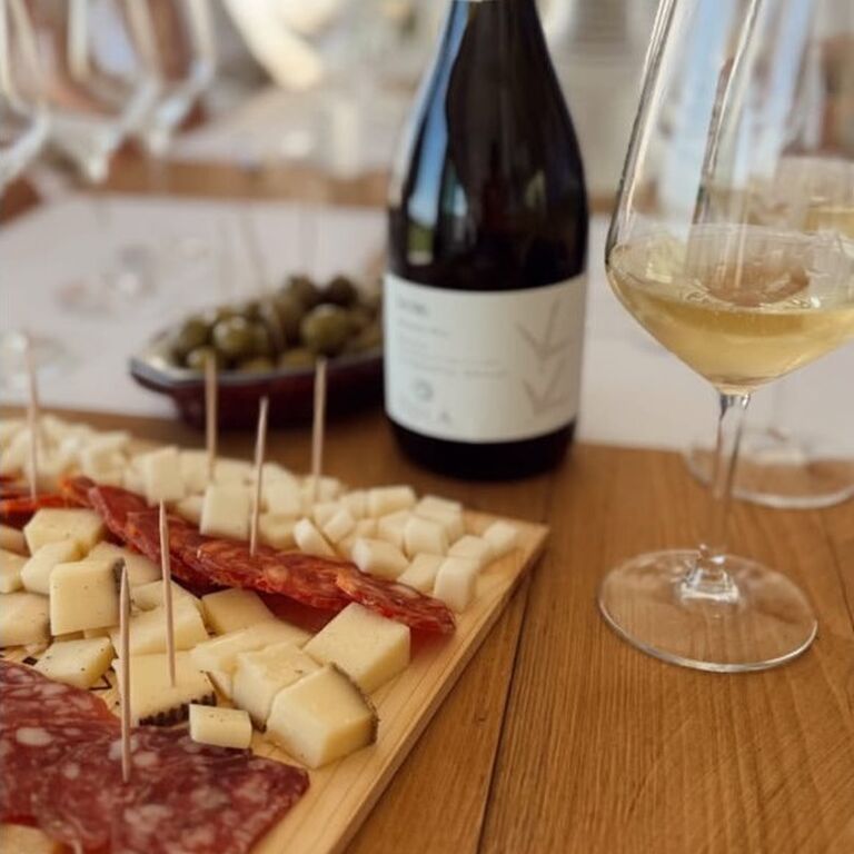 Azienda Vitivinicola Tola