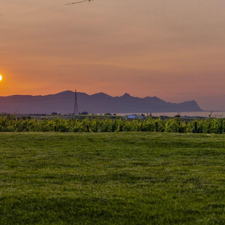 Azienda Vitivinicola Tola
