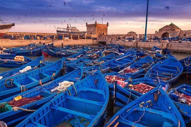 Essaouira Day Trip With Guide