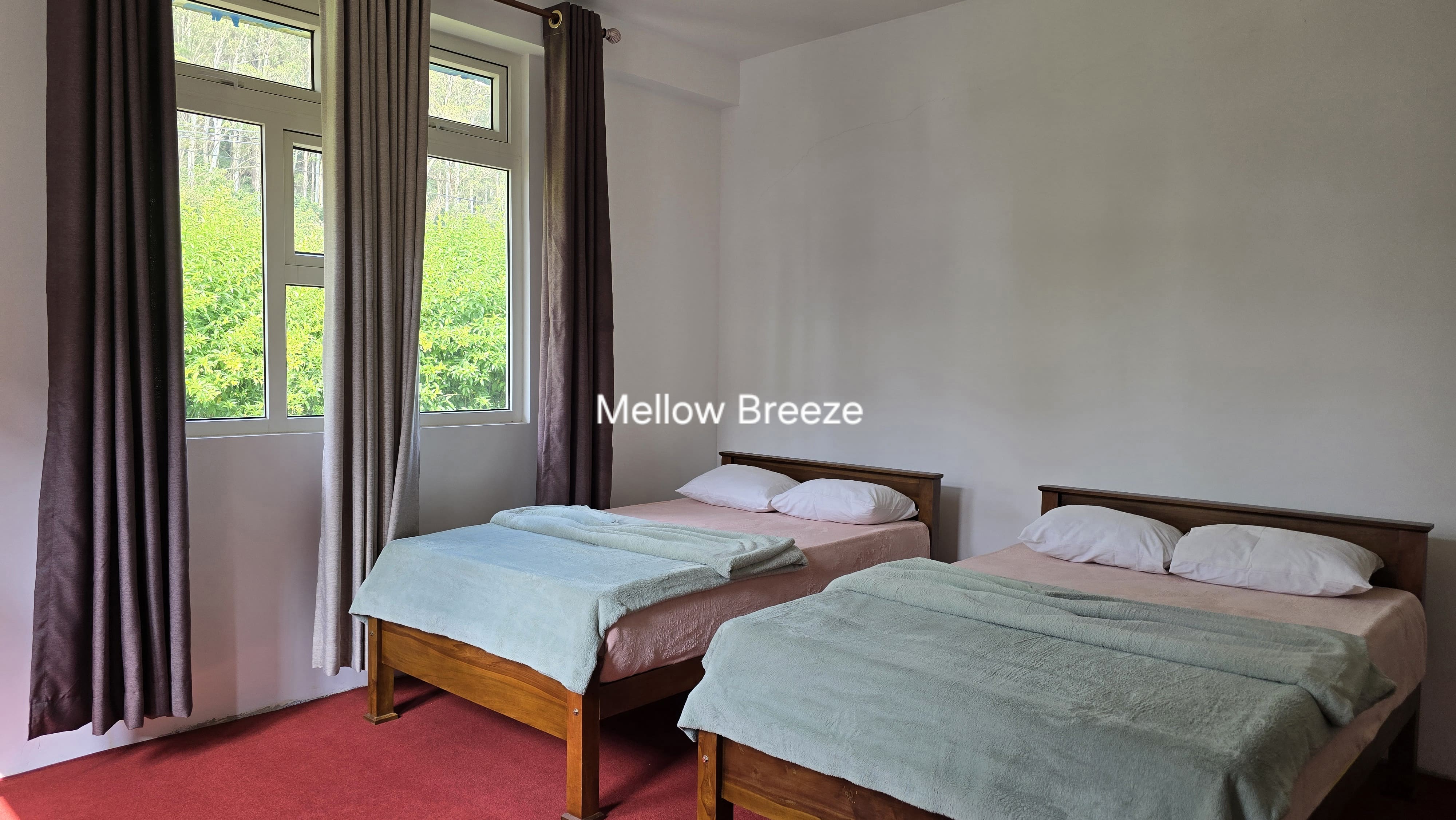 Mellow Breeze - Nuwara Eliya