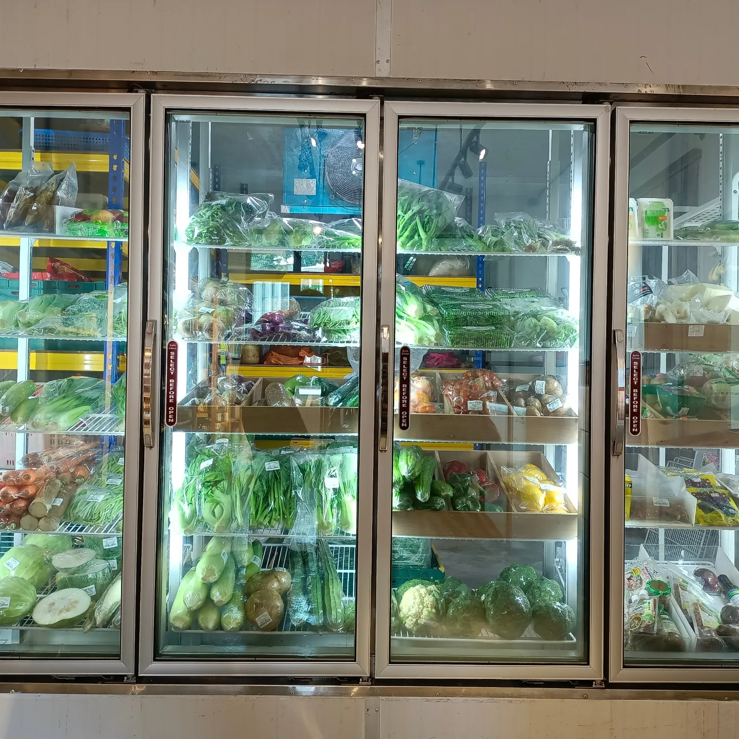 THE PUMPKIN ORGANIC & NATURAL