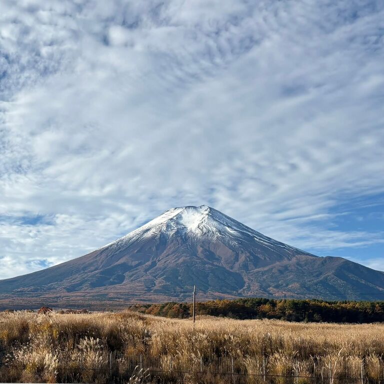 Travel on Peak