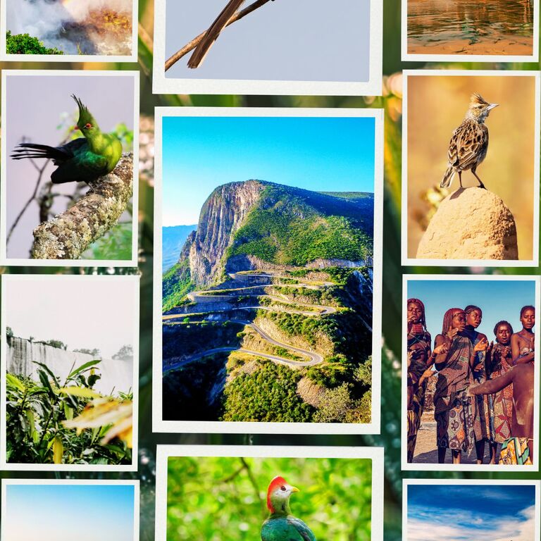 SafariWise Tours