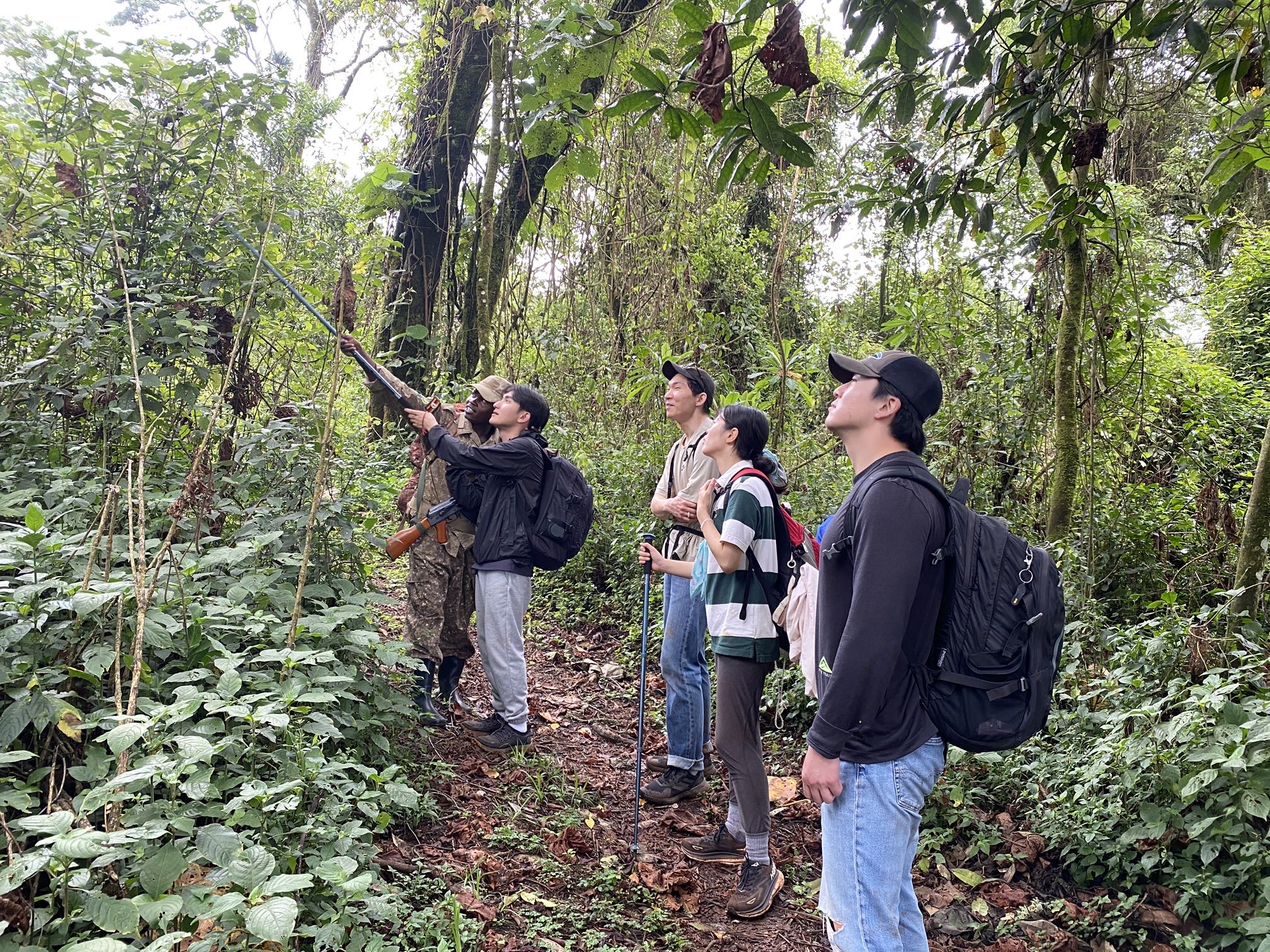 Mount Elgon Eco Tours