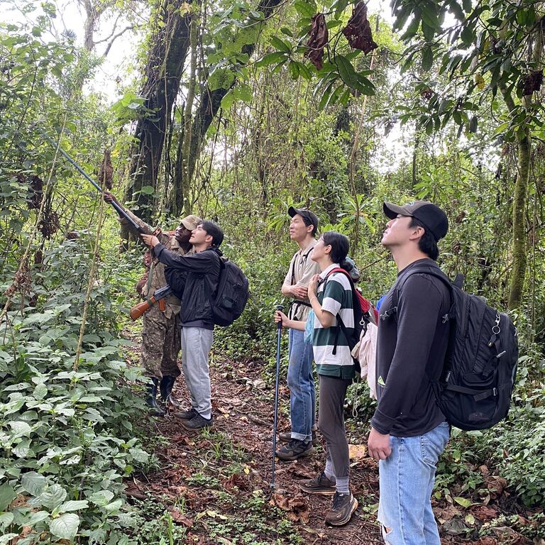 Mount Elgon Eco Tours