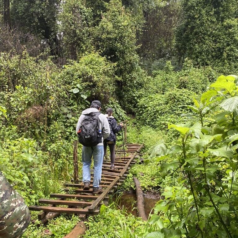 Mount Elgon Eco Tours
