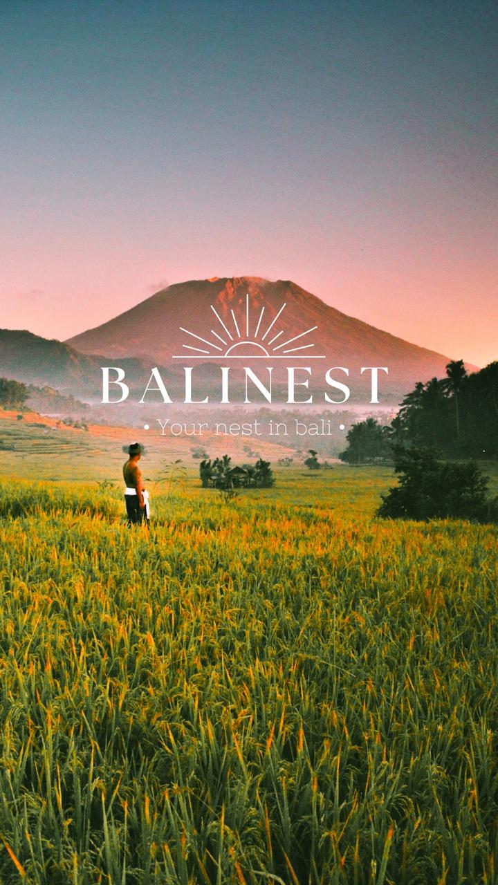 Balinest