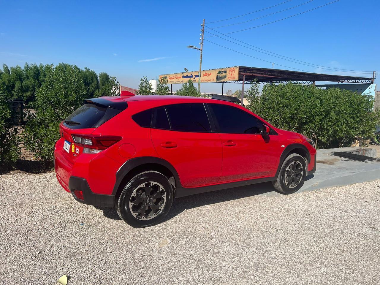 Mahmoud | Airport Pickups