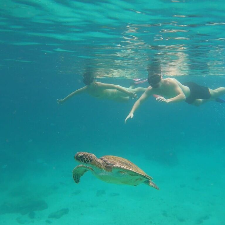 Acqua Jungle Ilha