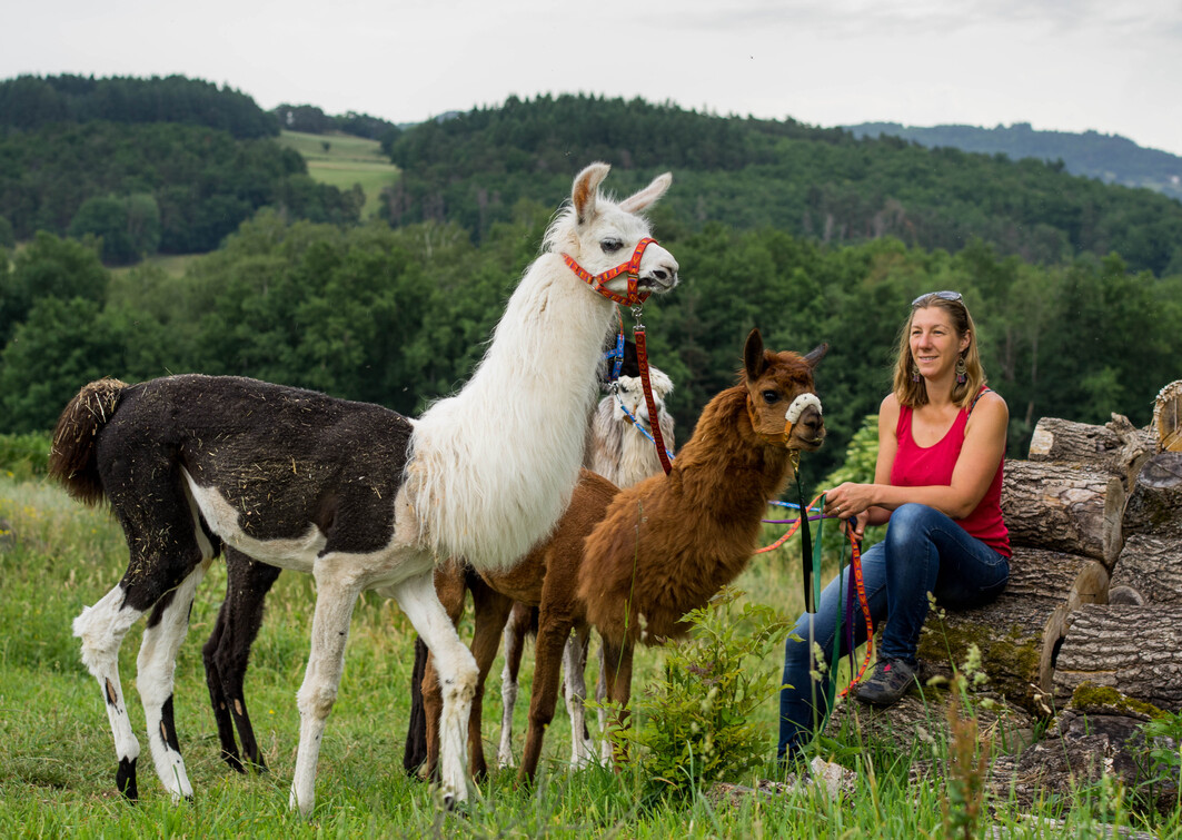 ferme du champ rouge