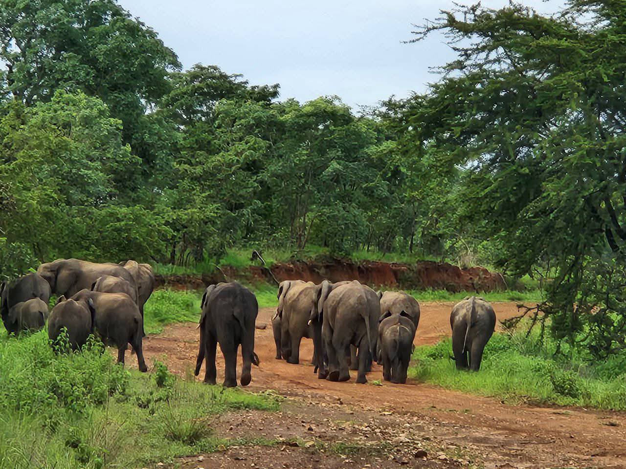 Tsinde Tours & Safaris