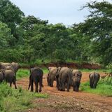 Tsinde Tours & Safaris
