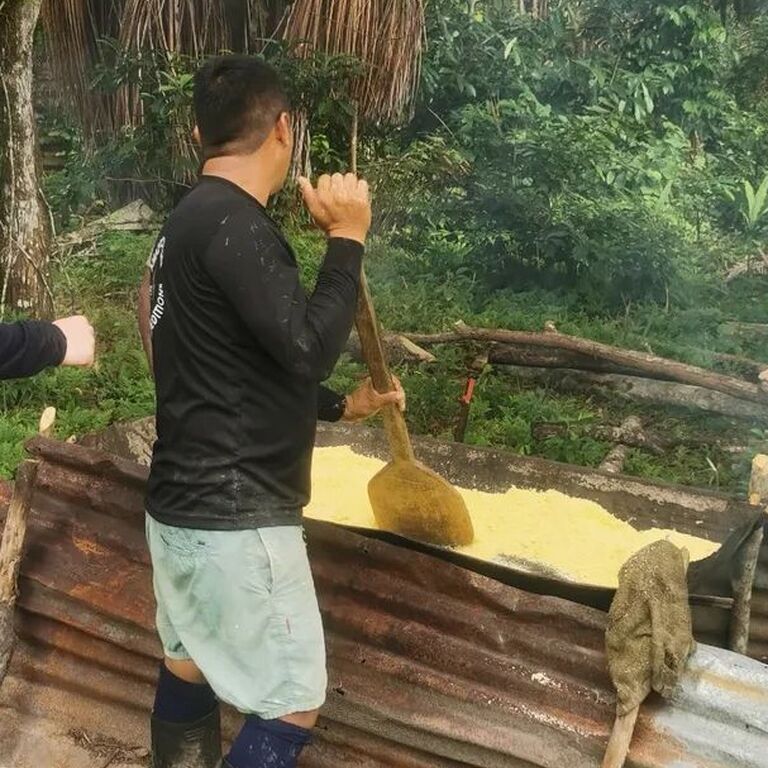 Jungle Jim Tours