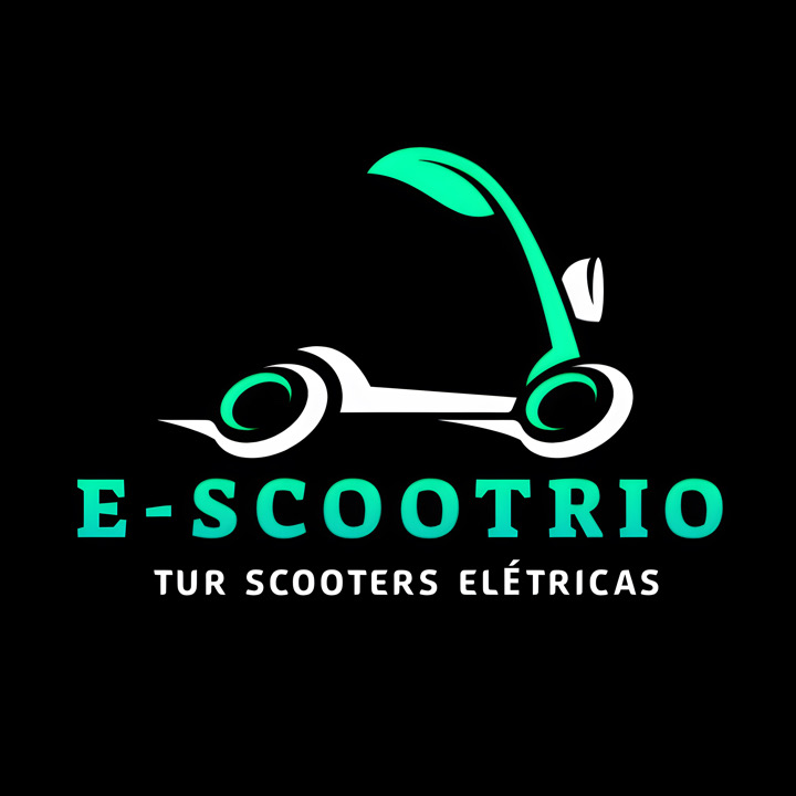 E-ScootRio Experience