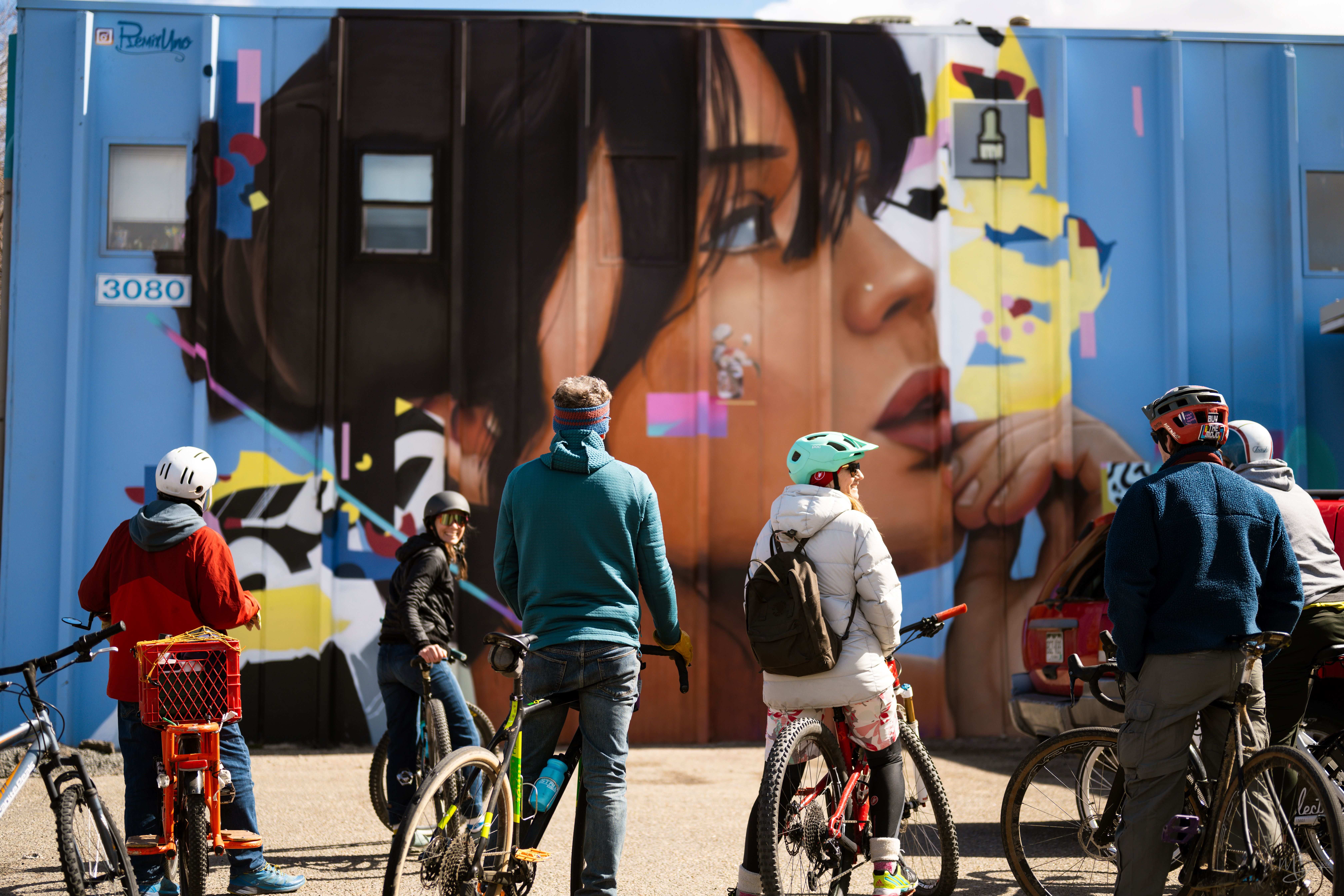 Street Wise Arts Mural Tours