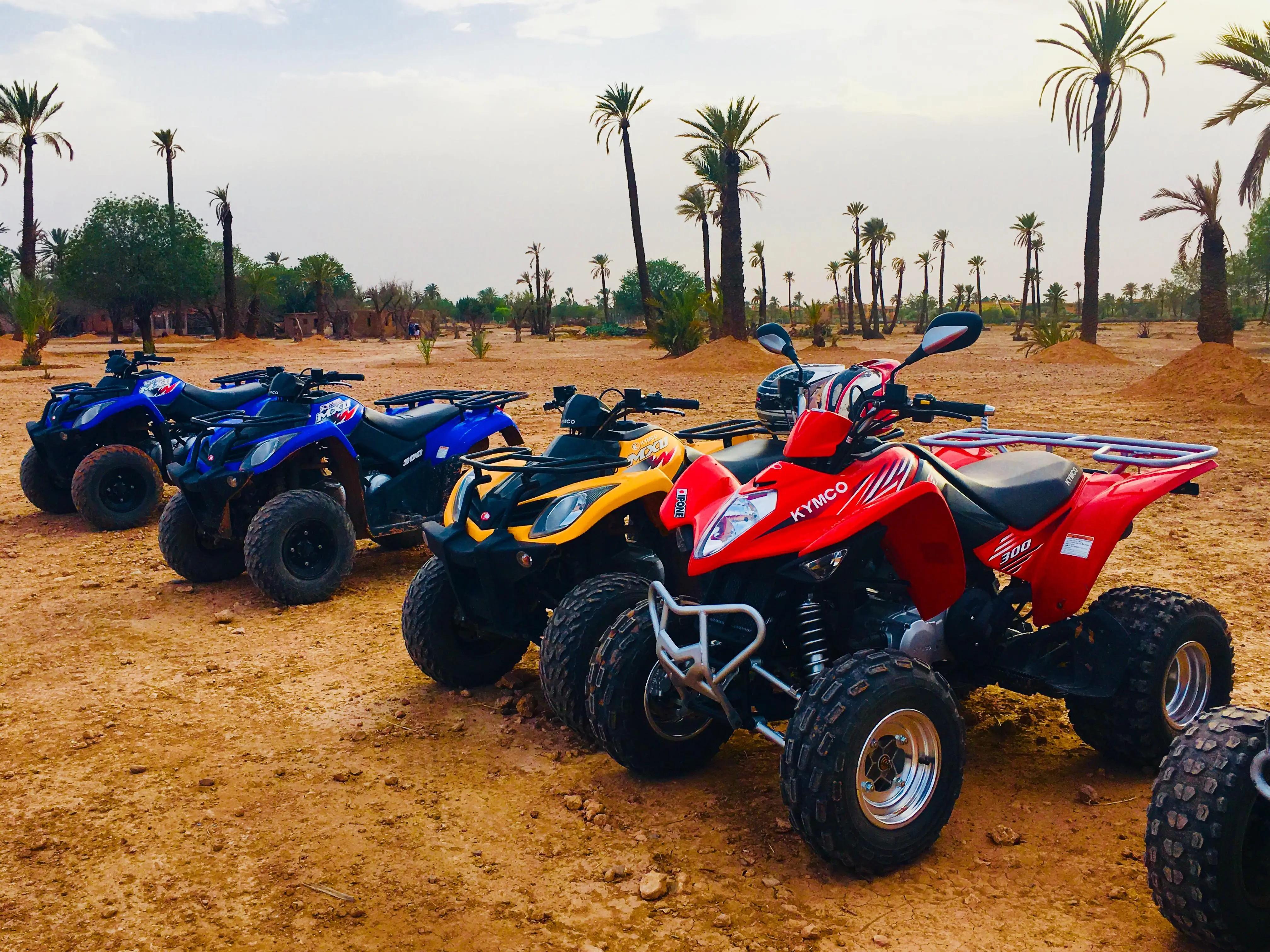 Palmeraie Marrakech Quad