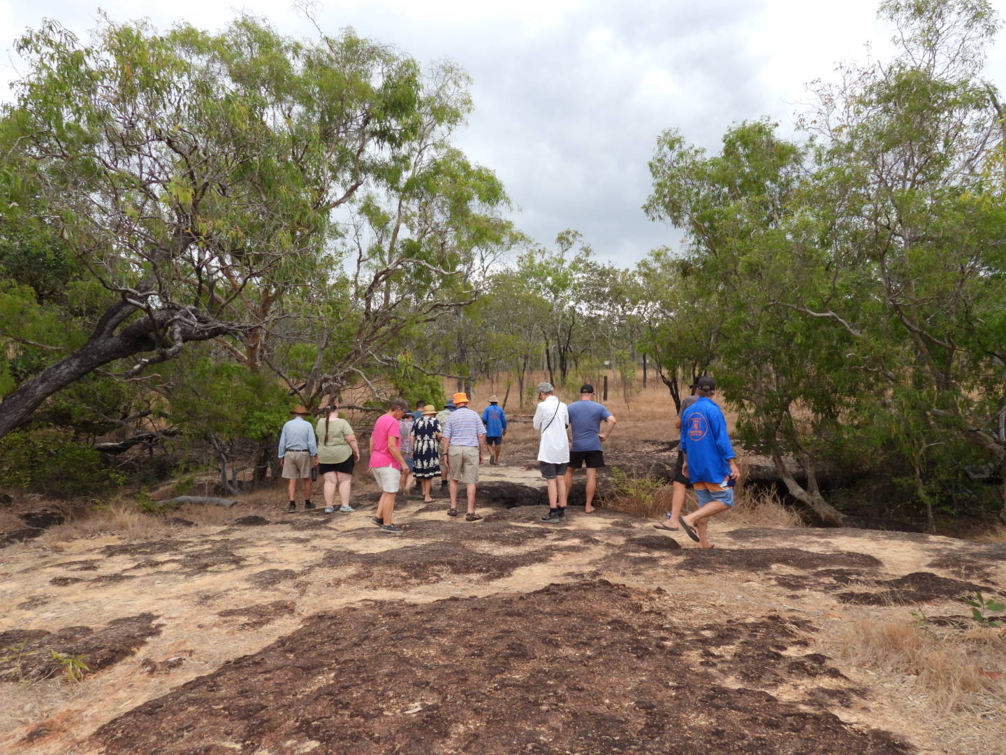 Cape York Guided Tours