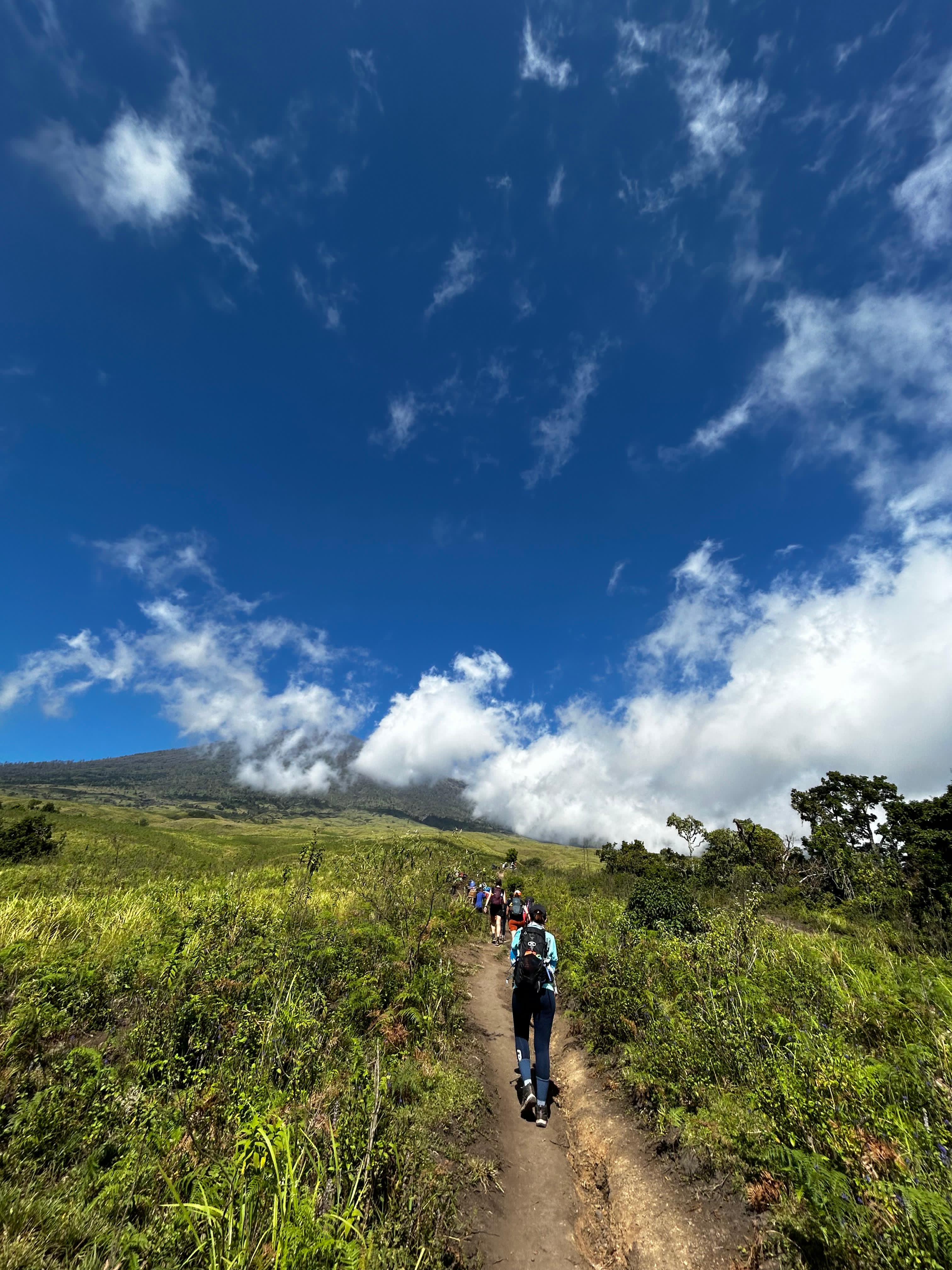 Lalu irwan taufikurrahman