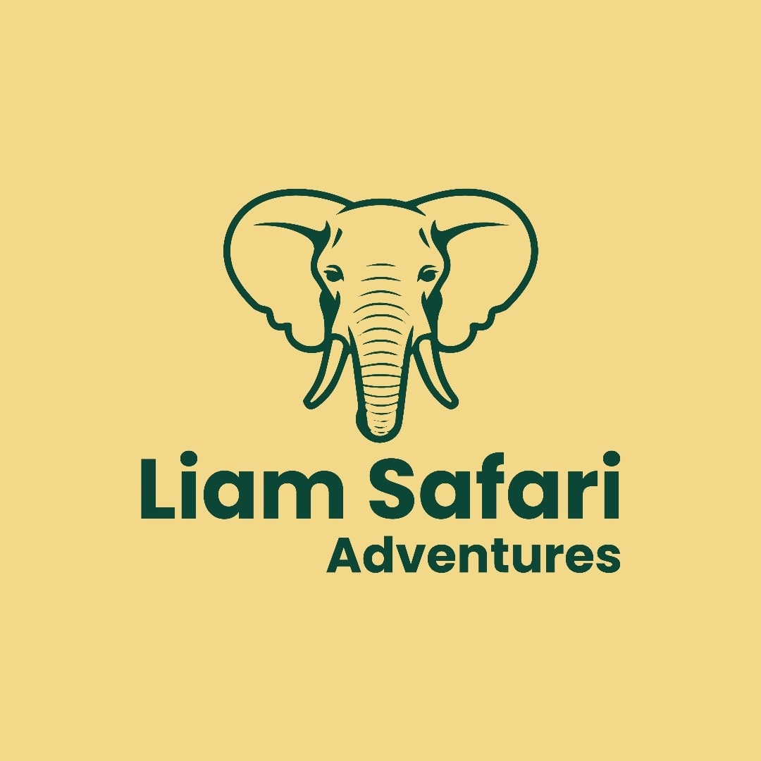 Liam safari adventures